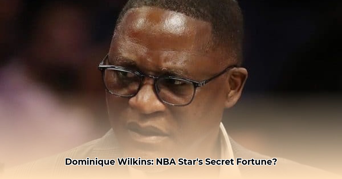 net-worth-dominique-wilkins